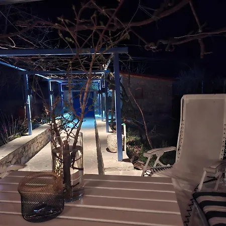 7 Roots - Appartement